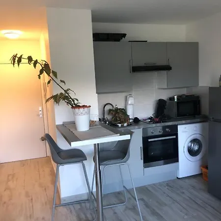 דירה Studio 27M2 Avec Balcon סיס-פור-לה-פלאז'